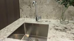 Tembusu Grand (D15), Condominium #560863811